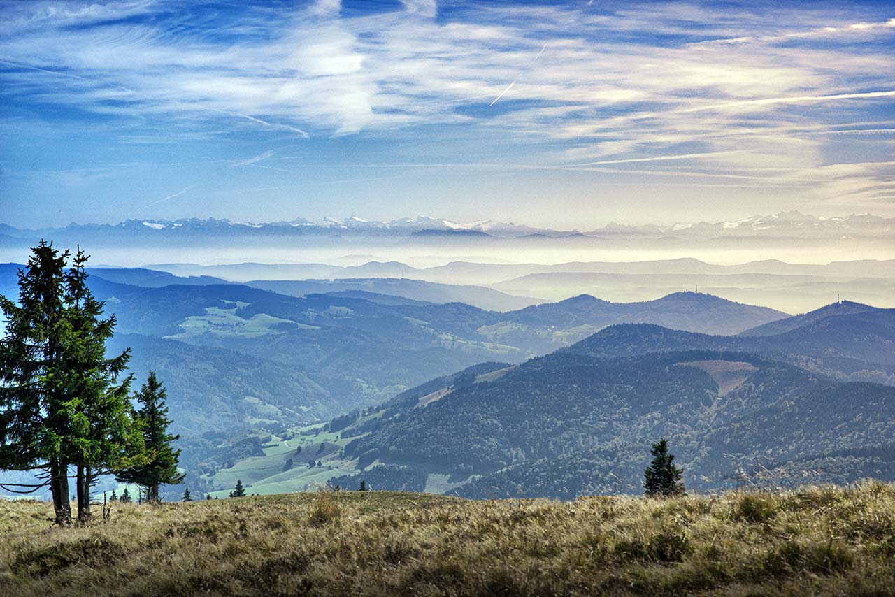 Ferienwohnungen Hotels Bauernhofe Im Schwarzwald Schwarzwald Unterkunfte